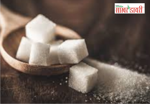latest sugar news
