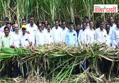 agri related sugar news