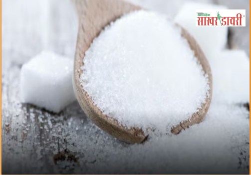 latest sugar news