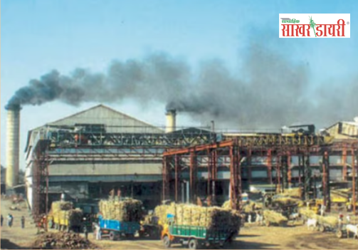 international sugar news