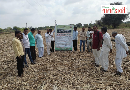 agri related sugar news