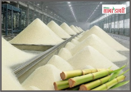 latest sugar news